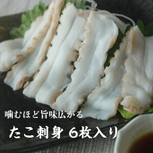 ₾hg 6 Ⓚ Hp XCX vvH ZȎ| hg CN ܂ ƒp  ₾