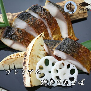 ΐ嗿XyIz v~AĂƂ낳  Ƃ낳 Y Ă i Ⓚ Mtg 蕨 il^ 