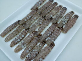 楽天市場 生 シャコの通販