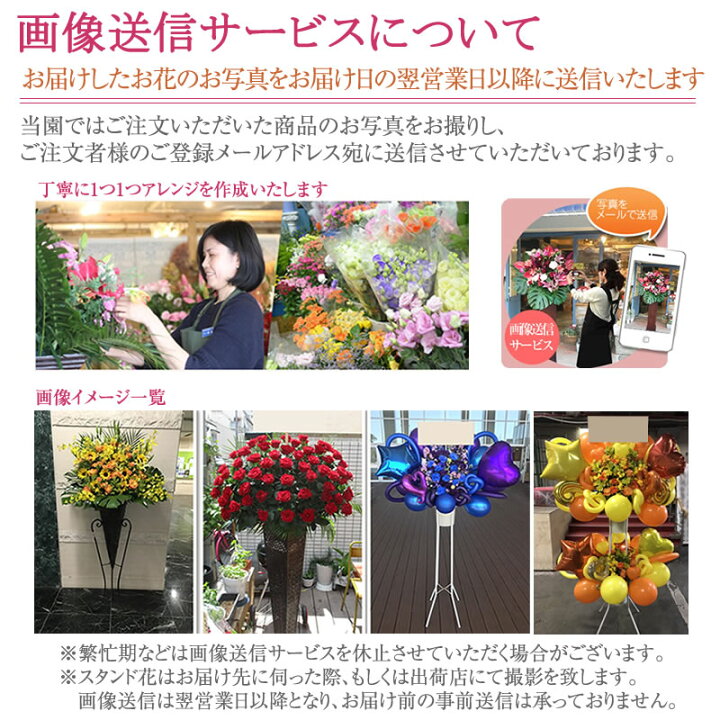 衝撃特価 スタンド花 2段 花色選べる5色 円 税別 180cm位 設置 回収無料 東京都 神奈川県 大阪府 札幌市 名古屋市 福岡市 お祝い 開店 開業 開院 花 Stde 衝撃特価 スタンド花 2段 花色選べる5色 円 税別 180cm位 設置 回収無料 東京都 神奈川県 大阪府 札幌市 名古屋市 福岡市 お祝い 開店 開業 開院 花 Stde