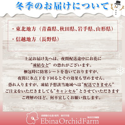 冬季のお届け