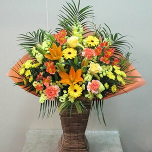 y|Cg3{zyoXPbg MzJXj  Mtg Fw 11000~(ŕ) Iׂ5F 80cm zzy\ JXj ړ] J@ j T  I[v   Cu t