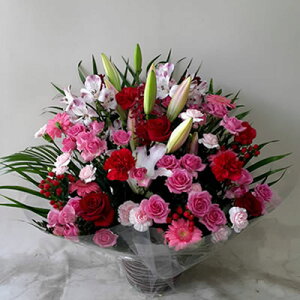 yAW Lzt[AWg Fw 10000~(ŕ) 60cmʁyCVm j  Mtg a җ Ď JX ړ] J@   I[v  \ ꑕ 