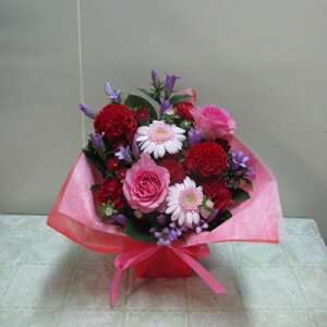 yAW Szt[AWg Fw 6000~(ŕ) 30`40cmʁyCVm j  Mtg  a җ Ď JX ړ] J@   I[v  \ 