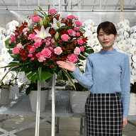 【スタンド花 1段】10,000円 送料無料 スタンド花 開店祝い 花 ギフトスタンド花 1段 花色おまかせ アレ…