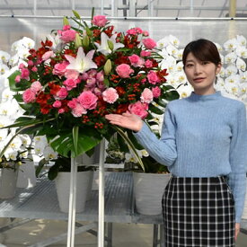 【ポイント3倍】【スタンド花 1段 選べる 5色】15,000円 スタンド花 開店祝い 花 ギフト 高さ180cm位 東京都、神奈川県(一部除く)、大阪府、札幌市、名古屋市、福岡市【発表会 開店祝い 移転 開院 お祝い 式典 公演 結婚式 ライブ 屋外 室内】【stde】