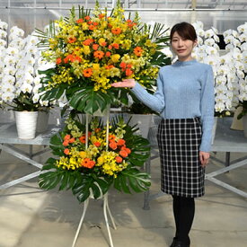 【スタンド花 2段】15,000円 送料無料 スタンド花 開店祝い 花 ギフト 花色 おまかせ 高さ180cm位 東京都、神奈川県、大阪府、札幌市、名古屋市、福岡市【発表会 開店祝い 移転 開院 お祝い 式典 公演 結婚式 ライブ 屋外 室内】【stde】