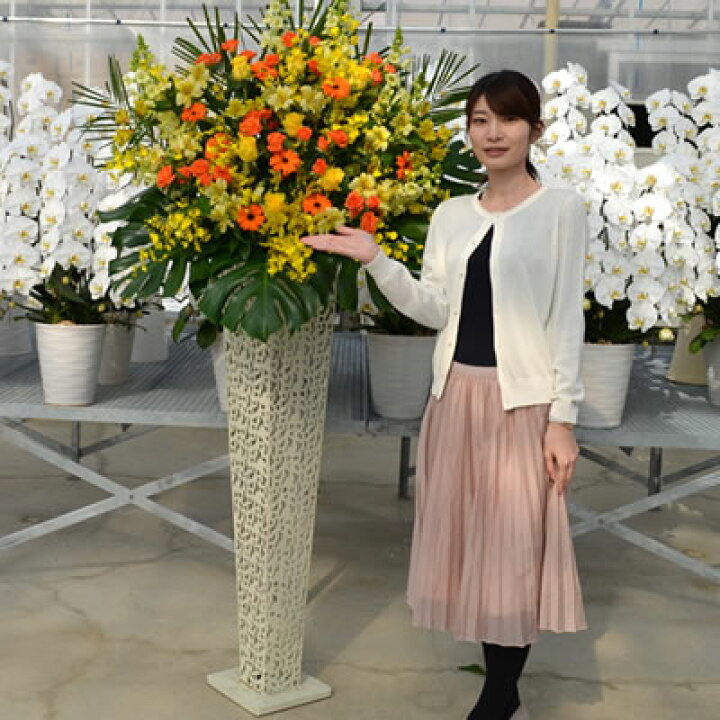 楽天市場 スタンド花 アイアン 000円 送料無料 スタンド花 開店祝い 花 ギフト 花色 選べる5色 高さ180cm位 東京都 神奈川県 一部除く 大阪府 札幌市 名古屋市 福岡市 発表会 開店祝い 移転 開院 お祝い ライブ Stde スタンド花 専門 海老名洋蘭園