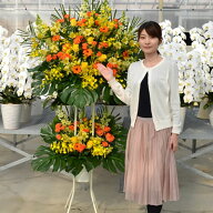 【スタンド花 2段】20,000円 送料無料 スタンド花 開店祝い 花 ギフト 花色 選べる5色 高さ180cm位 東京…