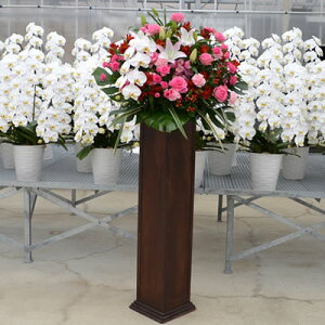 yX^h ؐ ӒtzJXj  ԐF͑Iׂ5F 20,000~(ŕ) 180cm  s(ꕔ)E_ސ쌧(ꕔ)E{y\ JXj ړ] J@ j T 