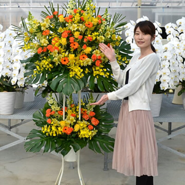 楽天市場 スタンド花 2段 開店祝い 花 ギフト 花色 選べる5色 円 高さ180cm位 東京都 神奈川県 一部 大阪府 札幌市 名古屋市 福岡市 発表会 開店祝い 移転 開院 お祝い 式典 公演 会場装花 ライブ Stde スタンド花専門 海老名洋蘭園