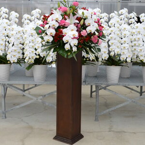 yX^h ؐ ӒtzJXj  ԐF͑Iׂ5F 30,000~(ŕ) 180cm s(ꕔ)E_ސ쌧(ꕔ)E{y\ JXj ړ] J@ j T   
