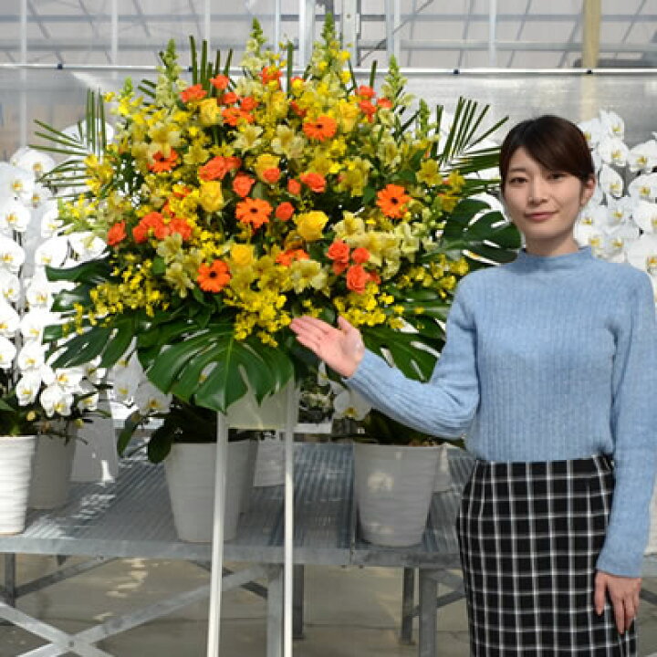 楽天市場 スタンド花 1段 花ボリュームアップ 13 000円 送料無料 スタンド花 開店祝い 花 ギフト スタンド花 1段 高さ180cm位 東京都 神奈川県 一部除く 大阪府 札幌市 名古屋市 福岡市 発表会 開店祝い 移転 開院 お祝い 式典 公演 ライブ 屋外 室内