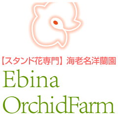 【スタンド花専門】海老名洋蘭園
