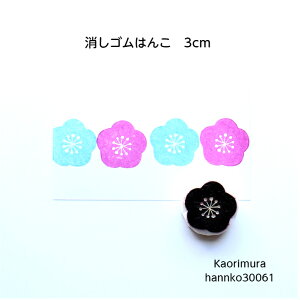 S͂ 30061 u~v