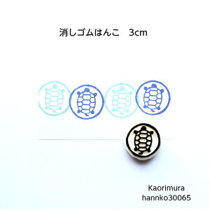 S͂ 30065 uJv