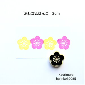 S͂񂱁@30085@~2
