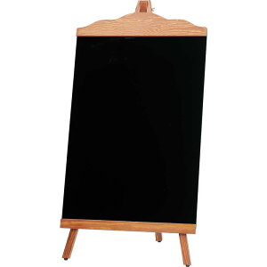 C[[^ {[h() EBS-110 / ԕis /  j[{[h X^h C[[ fBXvC