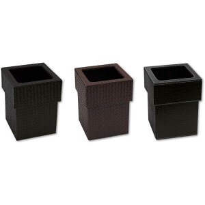 _Xg{bNX Wtdl TM-N / Vr zepi TMV[Y S~