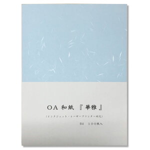 OA a ؉ B4 100 ؉ B4 u[ HC-648 /   75.6g/m2 / `FX / [U[ECNWFbgΉ F