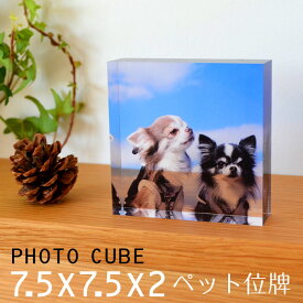ペット 位牌 アクリル フォトキューブ 7.5×7.5×2センチ 犬 記念写真 猫 遺影 ペット アクリル キューブ フォト 写真入り プレゼント フォトフレーム 写真立て 父の日 敬老の日 母の日 プレゼント