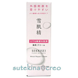 󂠂 R[Z[ ᔧ NAEFlX CXgyA N[ 40g 򕔊Oi