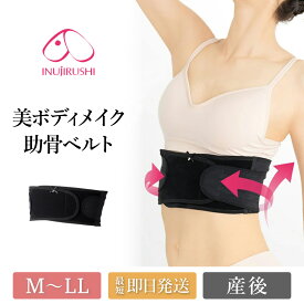 ＼最大3000円クーポン配布中！／ マタニティ 骨盤 産後 インナー ウエスト 骨盤ベルト ガードル くびれ 姿勢 骨盤ガードル 犬印 犬印本舗 肋骨ベルト N2700 引き締め ボディメイク 産後ダイエット 産後リフォーム 産後ケア 体型補正 助骨 メール便送料無料 1/1