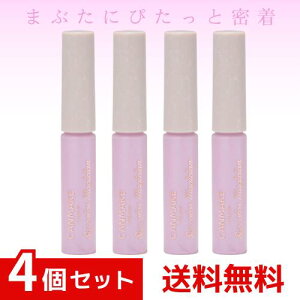 LCN ACJ[}WV 05 ̂₫ LbhACVhE 3.5ml ×4Zbg 4901008315843 #
