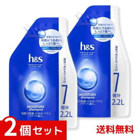 h&s シャンプー つめかえ 大容量 モイスチャー エイチアンドエス ×2個セット 49871761431051 /
