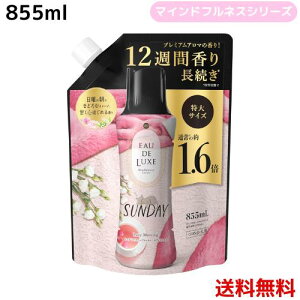 mA I[hNX tpr[Y }ChtlXV[Y Tf[ lߑւ 855mL 4987176241160 /