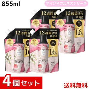 mA I[hNX tpr[Y }ChtlXV[Y Tf[ lߑւ 855mL x4 4987176241160 /