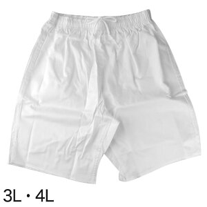 Ղ pc Y{ ҈ EGXgS 3LE4L (܂ ߑ nbs @ 100  Rbg Ղpc 傫TCY)y񂹁z