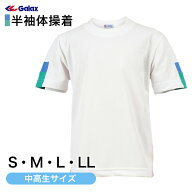 ギャレックス 体操服 半袖トレシャツ S・M・L・LL 男子 女子 ジャージ 白 ワンポイント クルーネック 半…