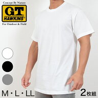 【9/20限定！エントリー＆抽選で最大100％Pバック】グンゼ Tシャツ メンズ 半袖 綿100% 2枚組 M〜LL (下…
