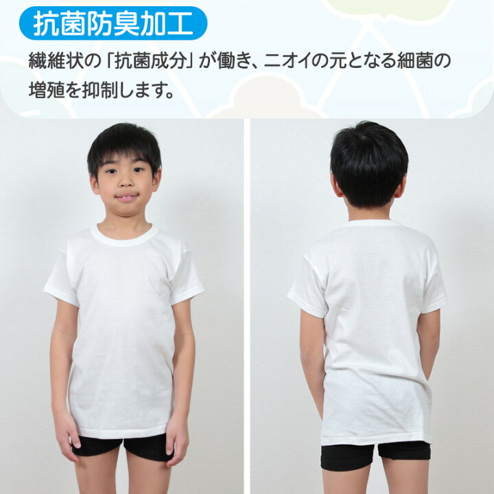 楽天市場】グンゼ 子供 肌着 男の子 半袖 綿100% 2枚組 100cm〜170cm 