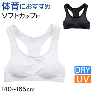 y11/25͒Iōő100%PobNzWjA X|[cu w uW[ 140cm`165cm (X|u LbY q bV ̈deCi[  WjAu w  YobN XN[Ci