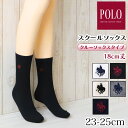 【7/20エントリー★抽選で最大100％ポイントバック】グンゼ POLO ワンポイント 刺繍 スクールソックス クルー丈 23-25cm (GUNZE ポロ ソックス 靴下 くつ下 くつした クルーソックス 通勤 通学 高校生 女子高生 スクール 学校 学生 おしゃれ)
