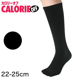 yvGg[11/5͒IŃ|CgobNIz5{w\bNX fB[X nC\bNX  22-25cm (\bNX  5{w C ܖ{w \bNX Ђ ނ)