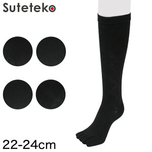 yvGg[11/5͒IŃ|CgobNIz5{w\bNX fB[X  nC\bNX C 22-24cm \bNX ܖ{w\bNX  n 