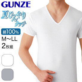 グンゼ 綿100% インナー メンズ 半袖 シャツ V首 夏 2枚組 M～LL GUNZE 男性 紳士 下着 肌着 Vネック アンダーシャツ