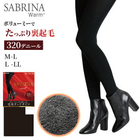 グンゼ SABRINA タイツ Warm+ ボアフリース調 毛布タッチタイツ M-L・L-LL (GUNZE サブリナ レディース 婦人 防寒 あったか 暖かい 冬 裏起毛)【在庫限り】