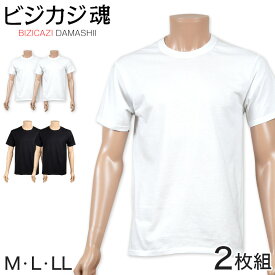 ヘインズ ビジカジ魂 クルーネックTシャツ 2枚組 M～LL (Hanes BIZICAZI DAMASHII メンズ 綿100% 白 黒)【在庫限り】