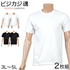 ヘインズ ビジカジ魂 tシャツ メンズ 半袖 綿100 大きいサイズ 2枚組 3L～5L (下着 綿 Tシャツ インナー クルーネック hanes セット 無地)【在庫限り】