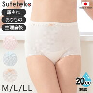 尿もれ 吸水ショーツ レディース 失禁パンツ 女性用 失禁ショーツ よく伸びる 日本製 20cc対応 M〜LL ち…