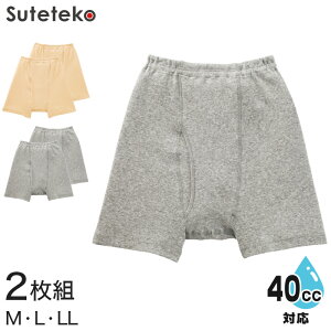 yvGg[11/15͒IŃ|CgobNIzSuteteko am 40ccΉ SK\ O 2g M`LL ( AR Y փpc zV[gt)y񂹁z