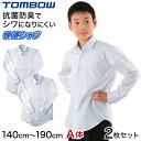 スクールシャツ 長袖 男子 トンボ学生服 2枚セット 140cmA〜190cmA (カッターシャツ ワイシャツ 中学生 高校生 シャツ 学生 スクール yシャツ 140 150)