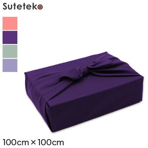 C~ 唻 ӂ낵 n O |GXe 100cm×100cm 傫 100cm i Ε