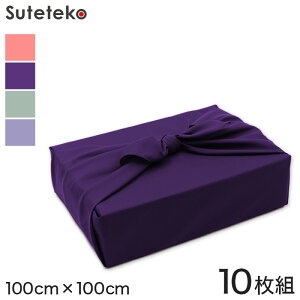 C~ n O 10g 100cm×100cm ( ӂ낵 |GXe ݂͂ 傫)