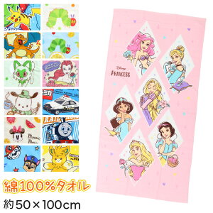 yvGg[11/5͒IŃ|CgobNIzoX^I LN^[  v[ ^I  |P sJ`E g[}X 50×100cm ( v[ TI ^IPbg q 