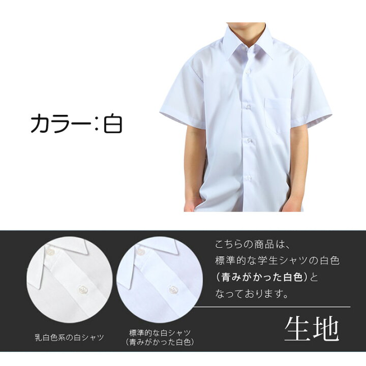 楽天市場 スクールシャツ 半袖 男子 カッターシャツ 110cma 180cmb B体 学生服 ワイシャツ 中学生 高校生 男の子 制服 シャツ 形態安定 ノーアイロン Yシャツ すててこねっと
